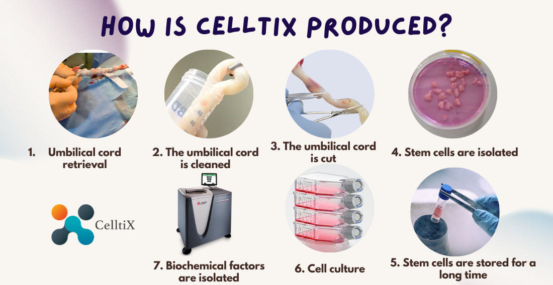 CELLTIX NEBULIZER Cell Tissue Technology